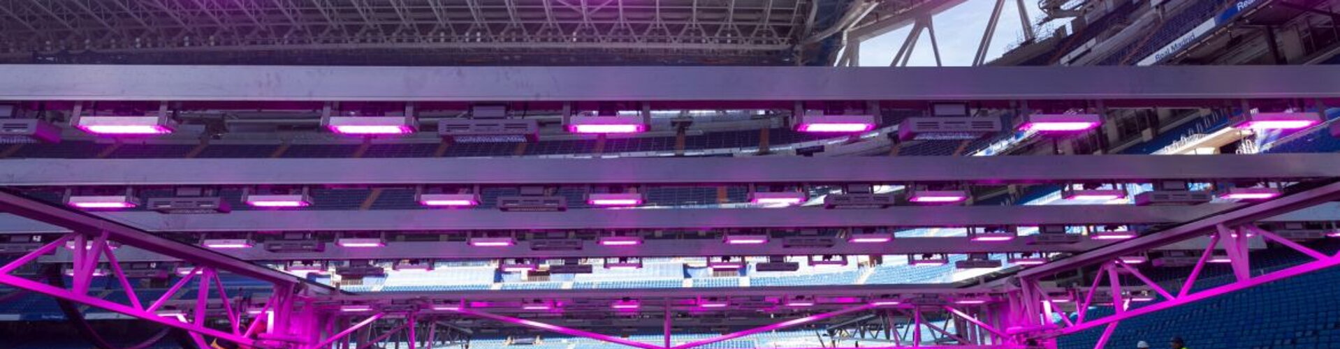 LED LAMPY