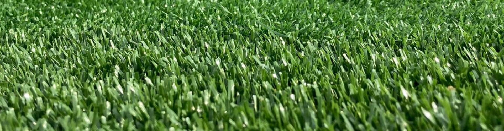 grass2grass